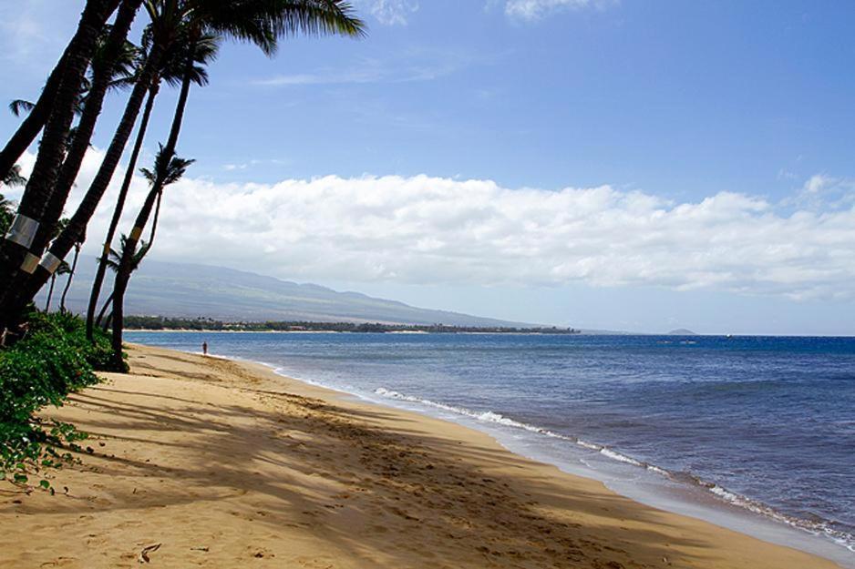 Kealia Resort 203 Kihei Extérieur photo