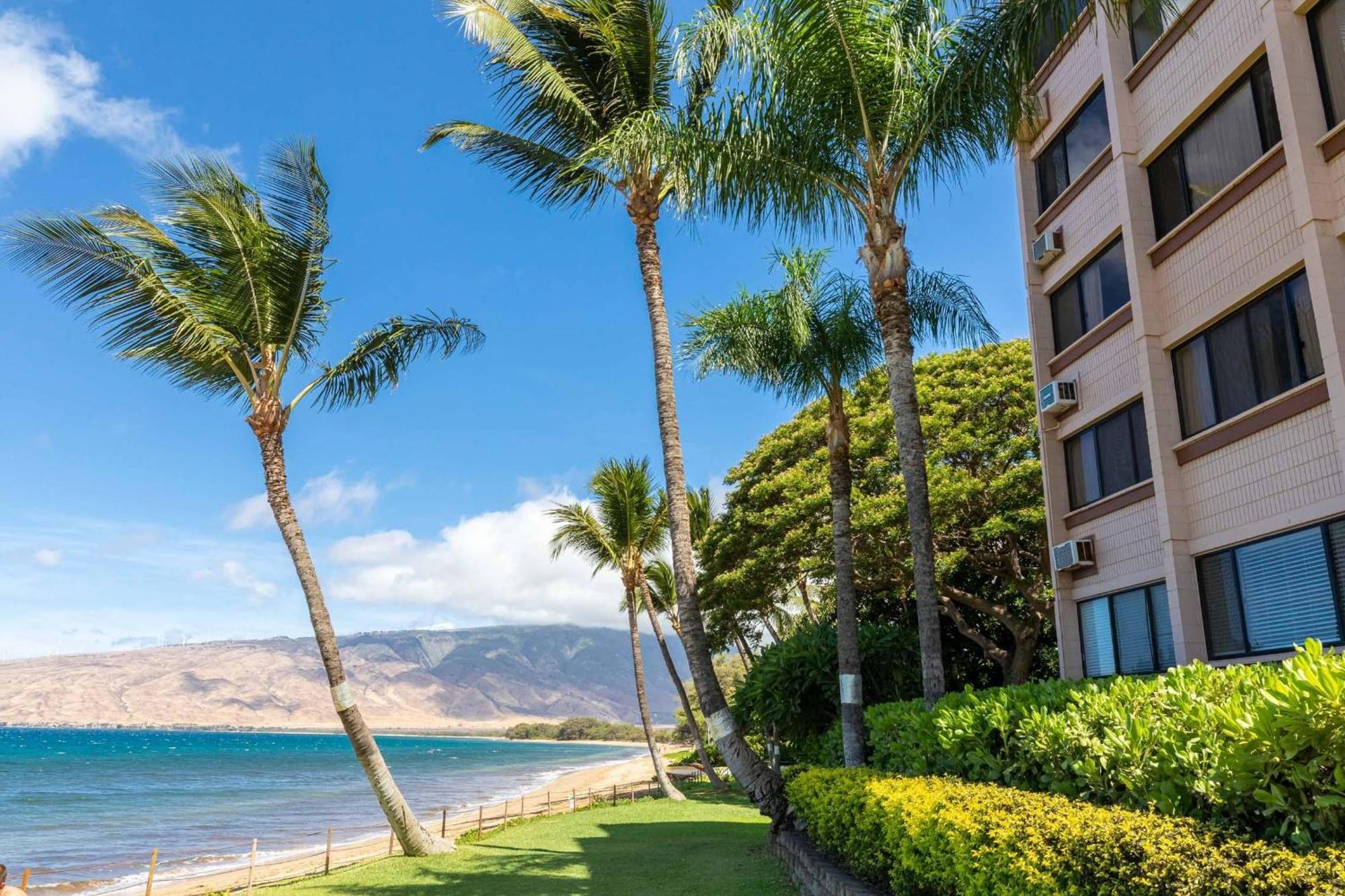 Kealia Resort 203 Kihei Extérieur photo